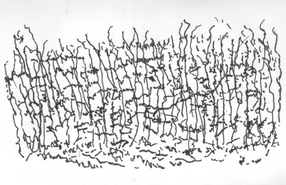 Ink drawing#2: Abstract landscape, with uni pin 0.8 Fine Line for October 3rd (© 2014 Michael Hill)