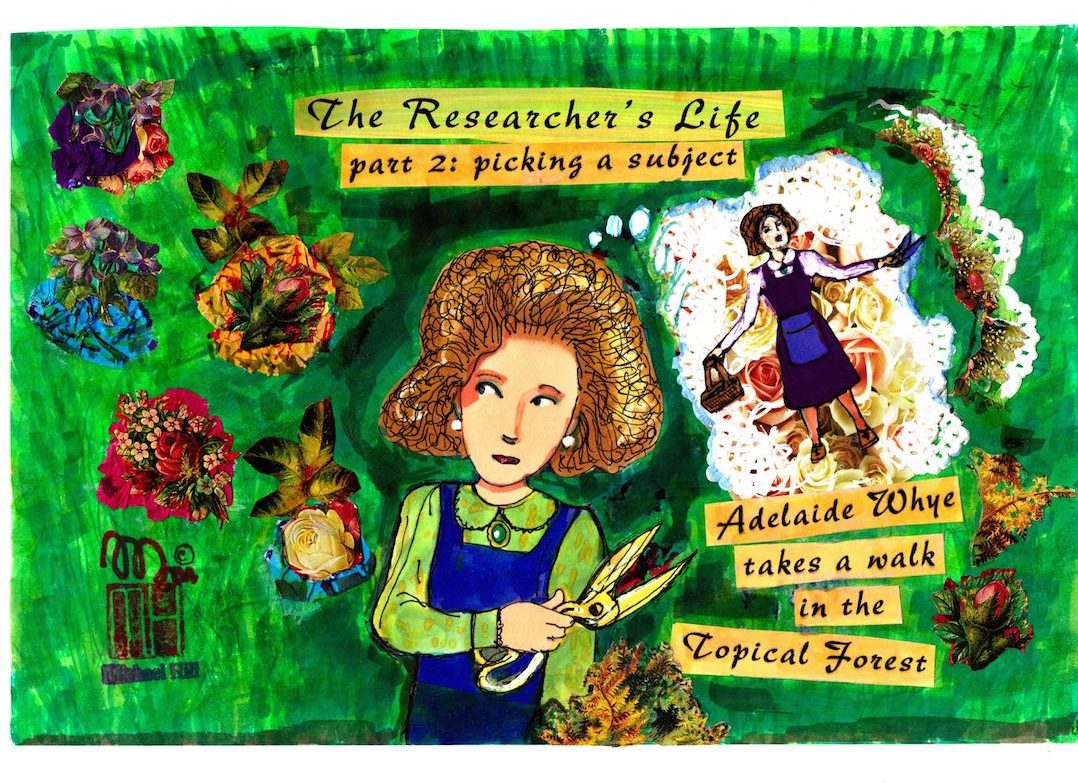 ...and know a thing or two about how to proceed-© 2004 Michael Hill